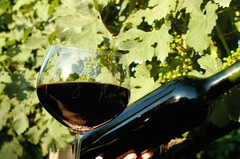 primavera-vale-dos-vinhedos011-fotos-gilmar-gomes